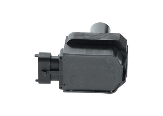 Bosch Benzin Enjeksiyon Yedek Parça Ateşleme bobini 1
