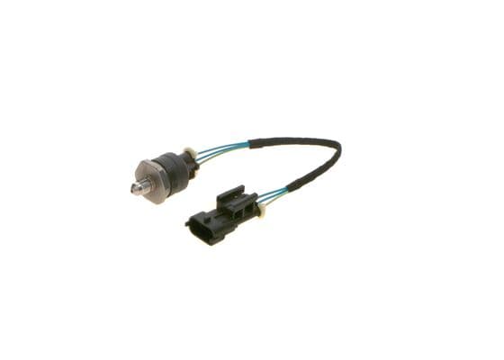 Bosch Sensörler Basınç sezicisi 1
