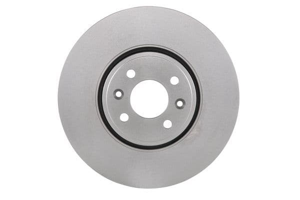 Bosch BD1076 Fren diski; ön 1
