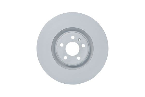 Bosch BD2450 Fren diski; ön 1
