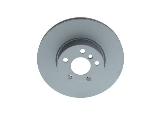 Bosch BD2977 Fren diski; ön 1