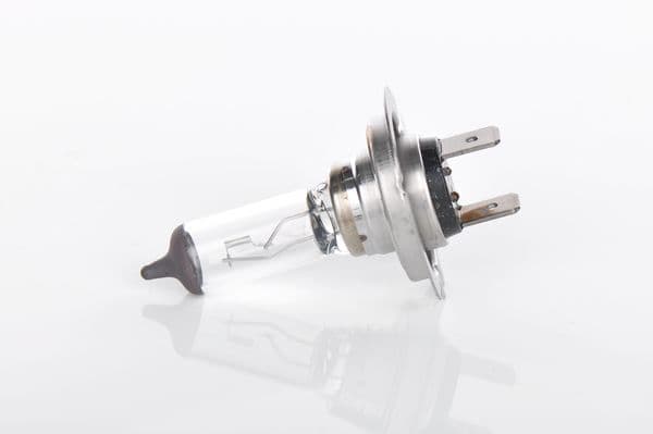 Bosch H7 Ampul, Pure Light 1