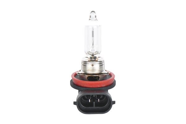 Bosch H9 Ampul, Pure Light 1