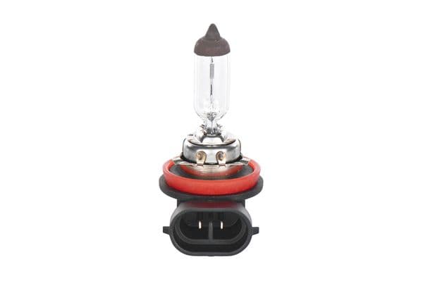 Bosch H11 Ampul, Pure Light 1