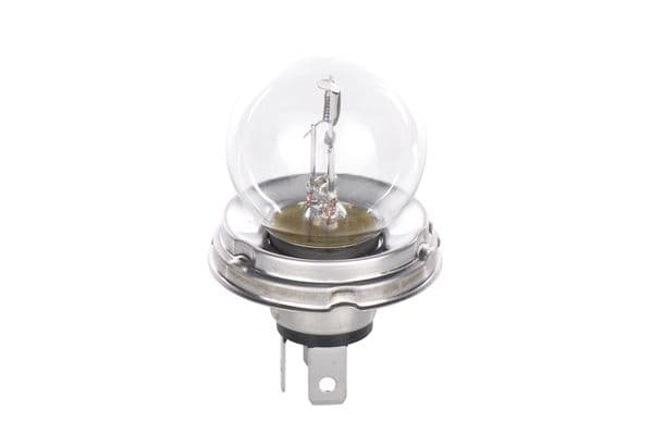 Bosch R2 Ampul, Basic Truck küçük görsel 2