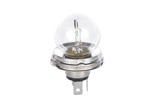 Bosch R2 Ampul, Basic Truck küçük görsel 4