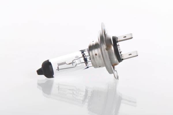 Bosch H7 Ampul, Basic Truck 1