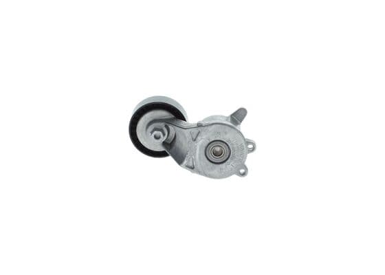 Bosch Triger Kayışı ve Setleri Kayış gerdiricisi, V kayışı 1