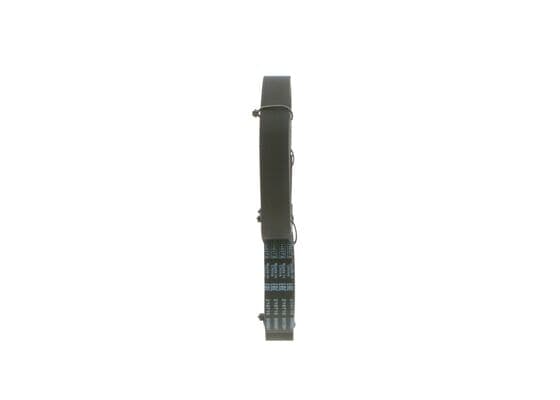 Bosch Triger Kayışı ve Setleri Kanatlı V kayışı küçük görsel 4
