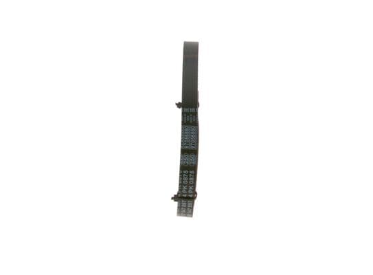 Bosch 4PK875 Kanatlı V kayışı küçük görsel 4