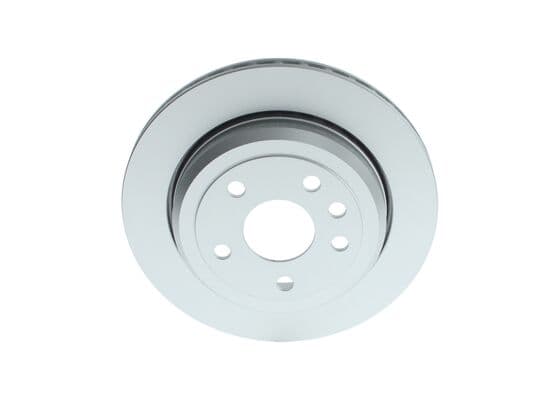 Bosch BD2931 Fren diski; arka 1