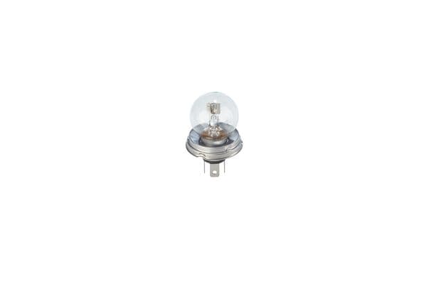 Bosch R2 (P45t) Ampul, Pure Light 1